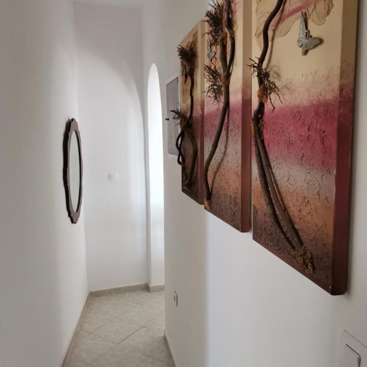 דירות ארקסה Seaview Family House מראה חיצוני תמונה